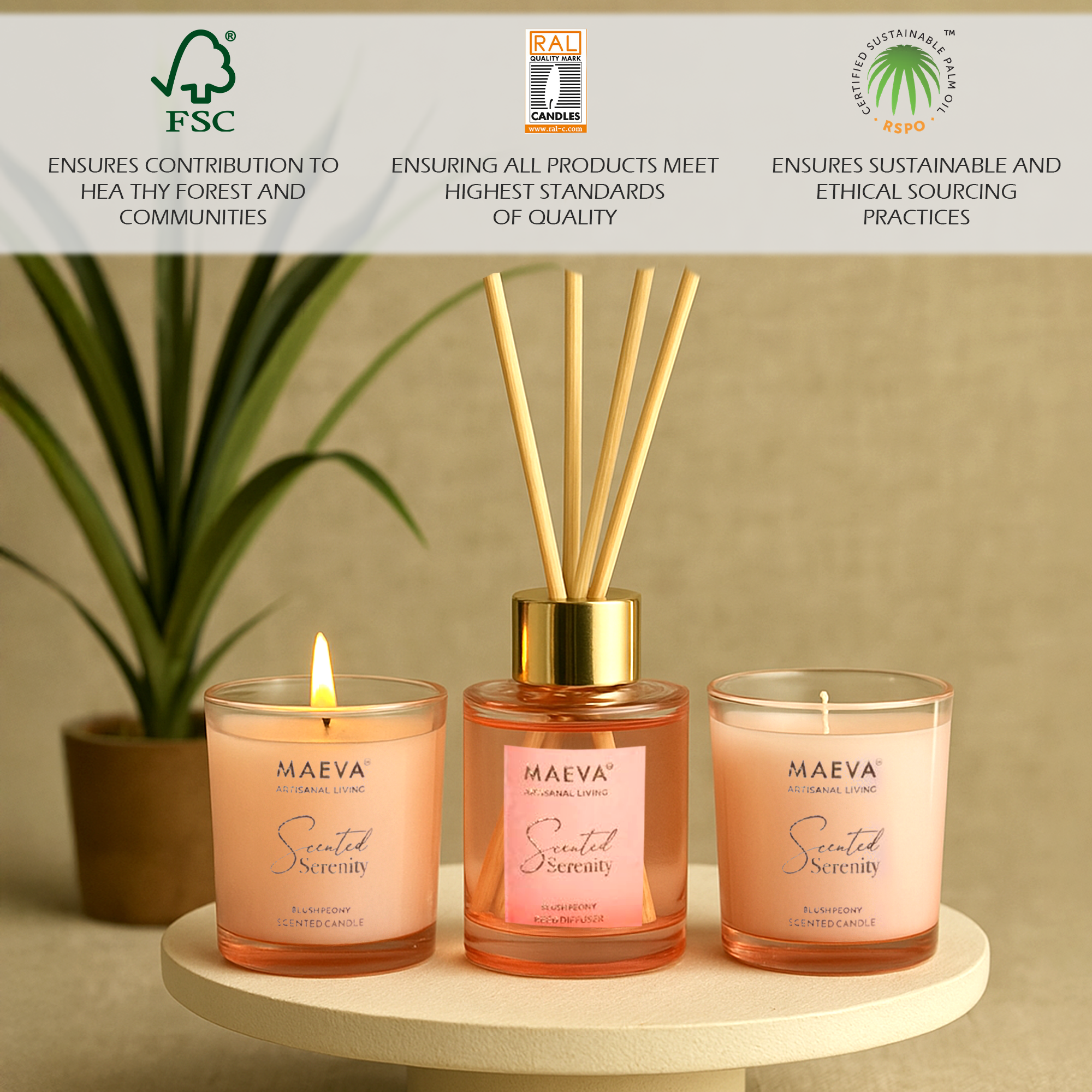 Scented Serenity Reed Diffuser & Candle Gift Set