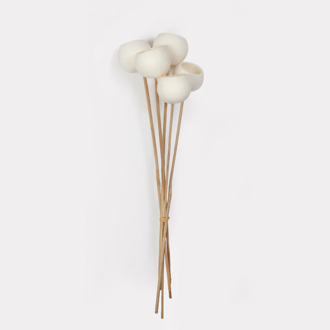 Natural Bell cup stems set of 5 in white