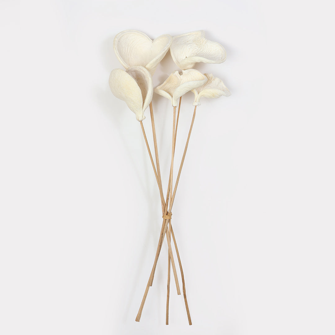 Badam Stems - Set of 5