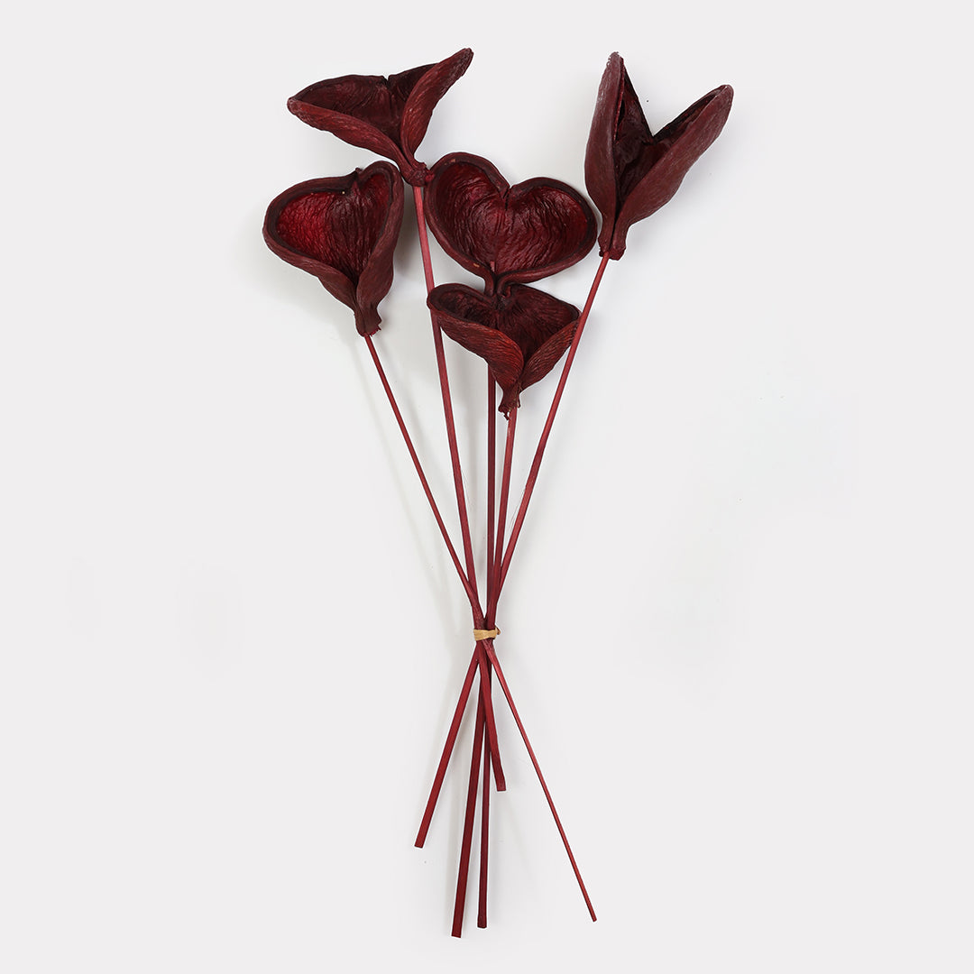 Natural dried botanical badam stems set of 5 in pink