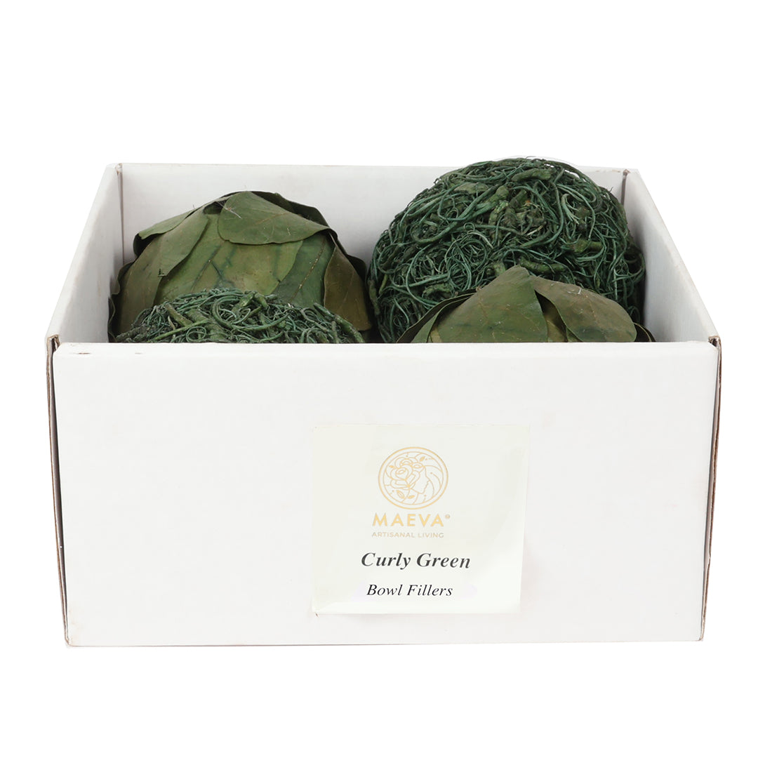 Curly Green Bowl Fillers