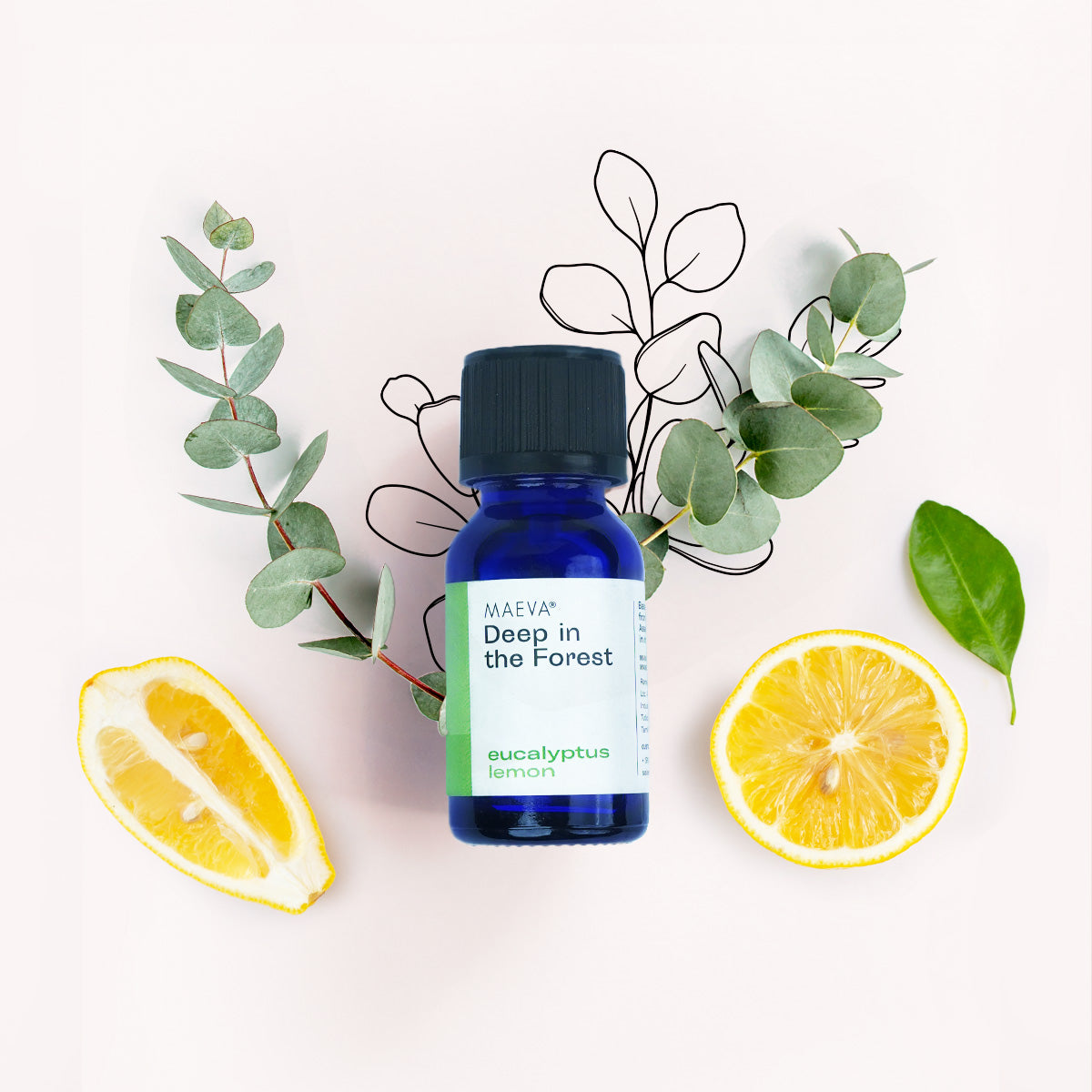 Deep in the Forest Mood Elevator