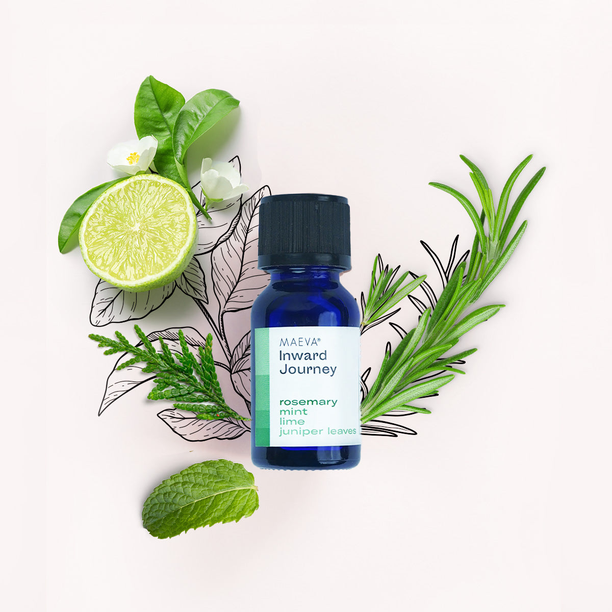 Inward Journey Mood Elevator