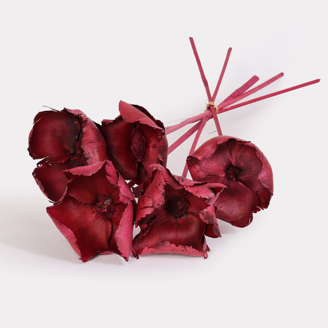 Dried Palm Cup Stems - Set of 5