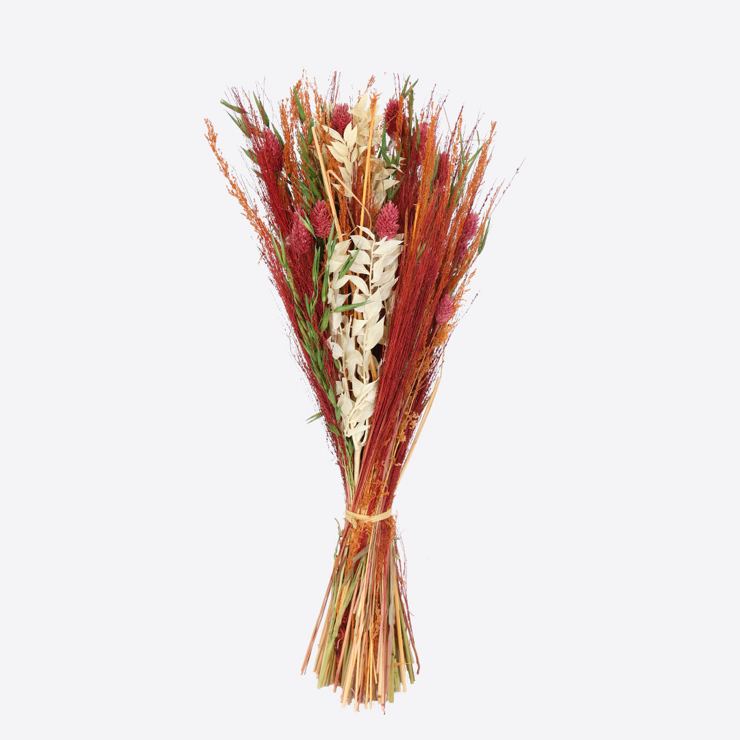 Springday dried flower bunches