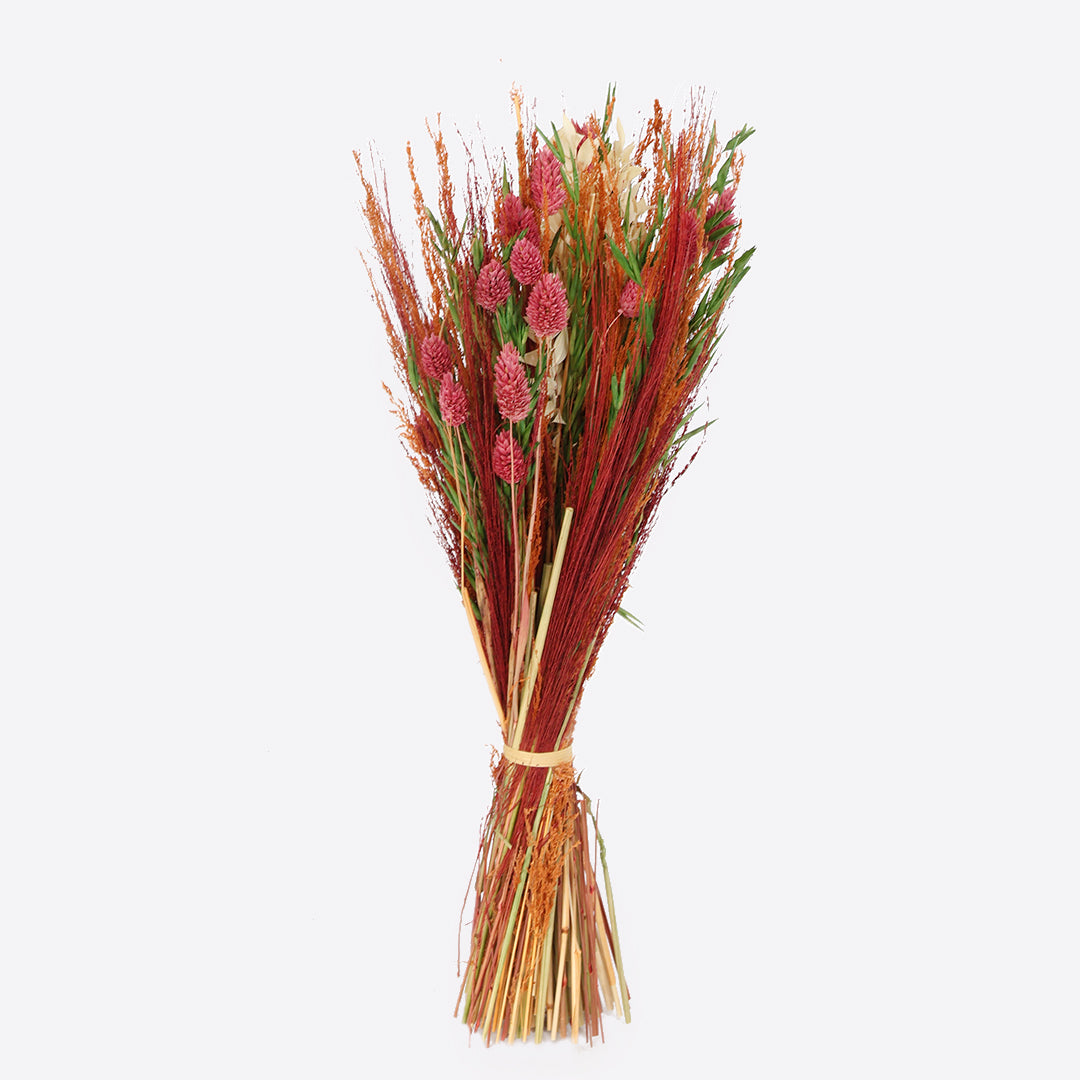 Springday dried flower bunches