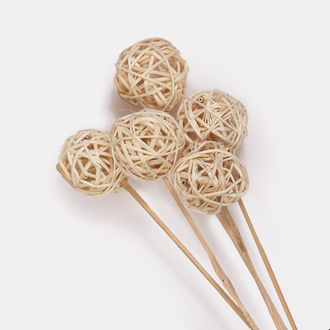 Brunch Ball Stems - Set of 5