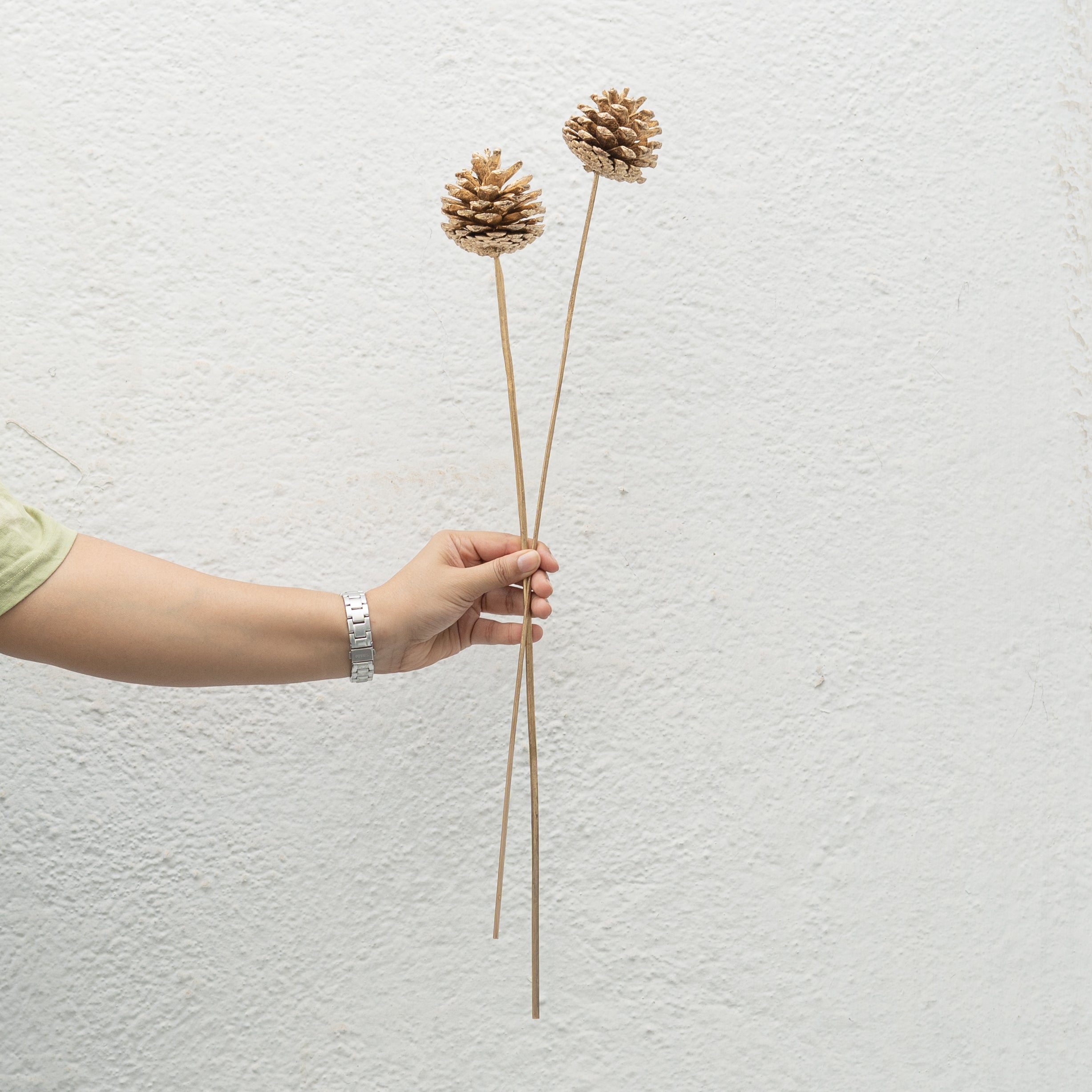 Dried Pine Stems Set of 5 for Floral Decoartion | Golden Pine Cone Dried Stems for Home Decor | Floral Arrangements