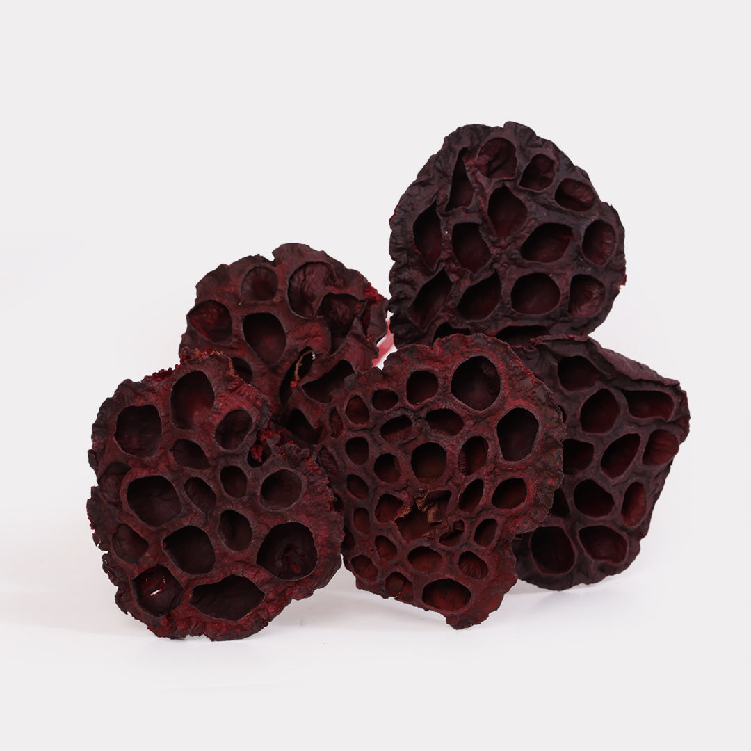 Lotus Pod Stems Red - Set of 5