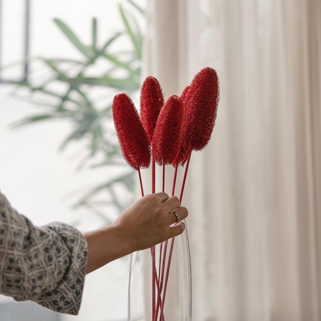 Dried Luffa Stems Set of 5 | Dry Flower Sticks for Floral Decoration | Red Luffa Stems for Flower Arrangements