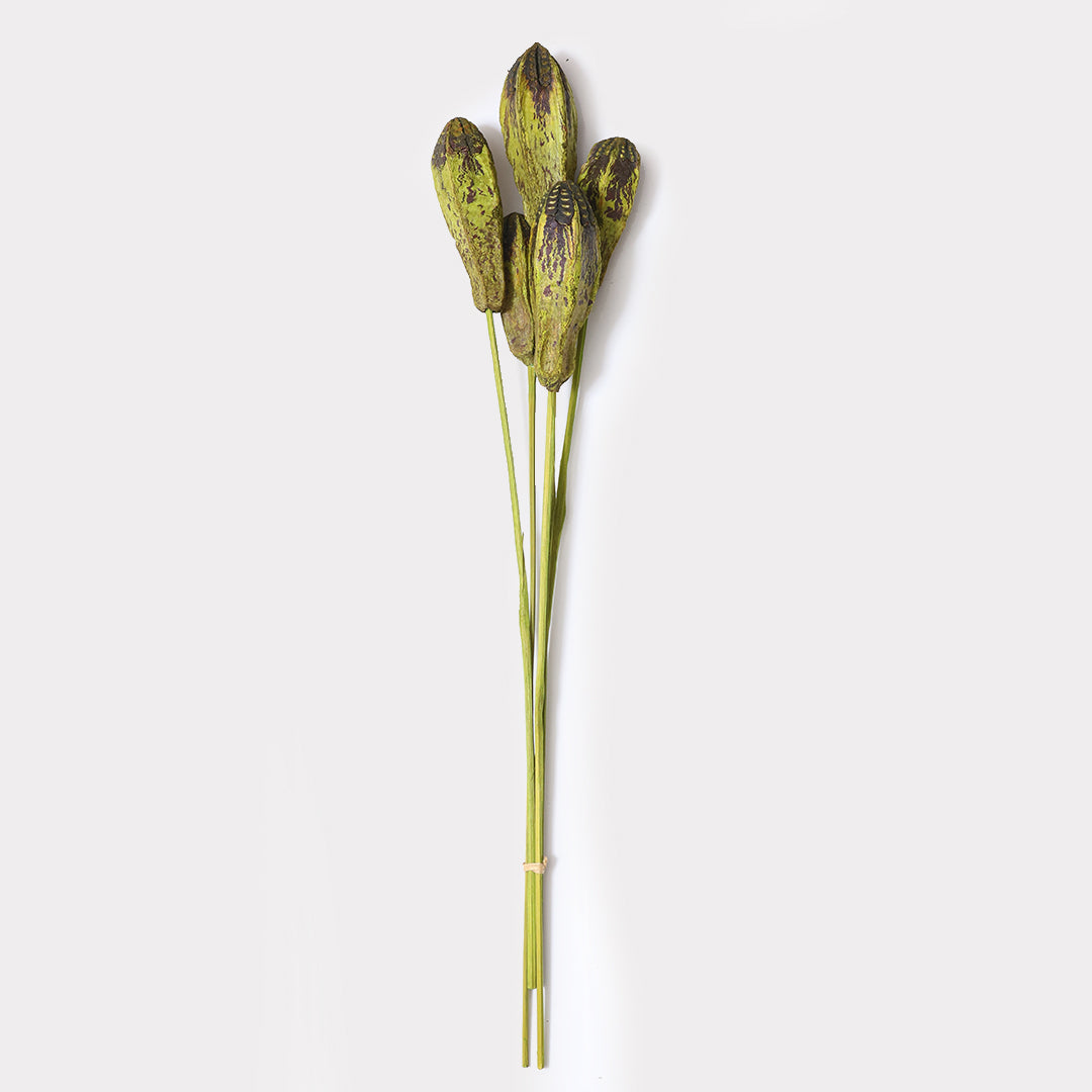 Dried Megoany Stems Set of 5 for Flower Arrangements | Dried Flower The Maeva Store