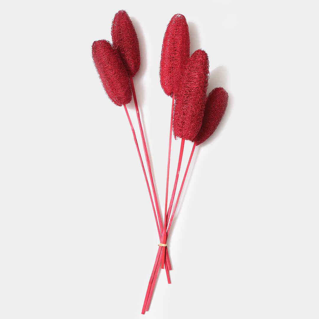 Luffa Stems - Set of 5